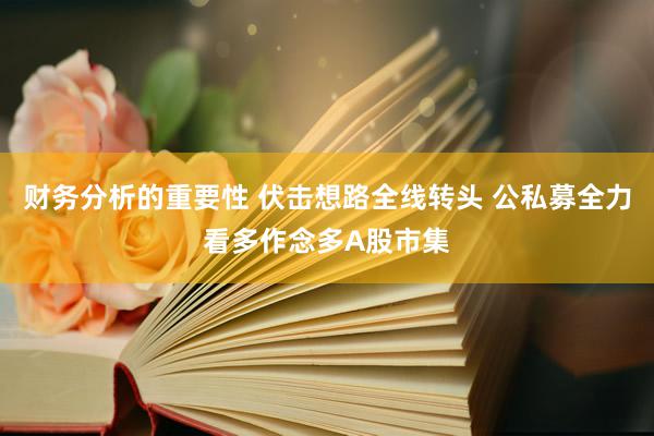 财务分析的重要性 伏击想路全线转头 公私募全力看多作念多A股市集