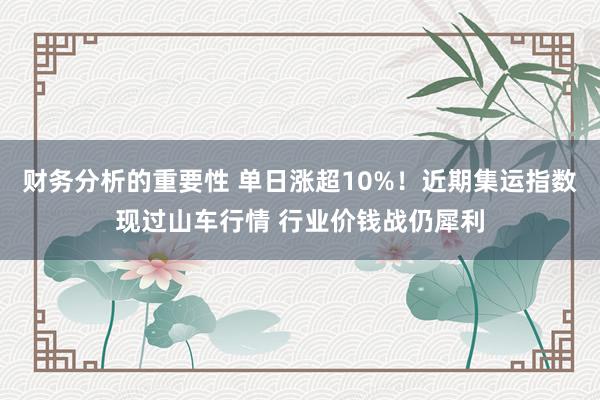 财务分析的重要性 单日涨超10%！近期集运指数现过山车行情 行业价钱战仍犀利