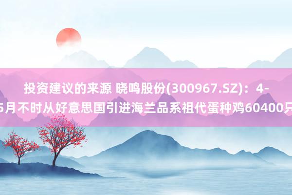 投资建议的来源 晓鸣股份(300967.SZ)：4-5月不时从好意思国引进海兰品系祖代蛋种鸡60400只