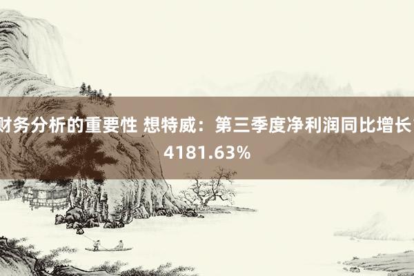 财务分析的重要性 想特威：第三季度净利润同比增长14181.63%