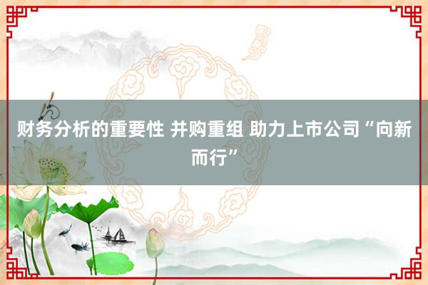 财务分析的重要性 并购重组 助力上市公司“向新而行”