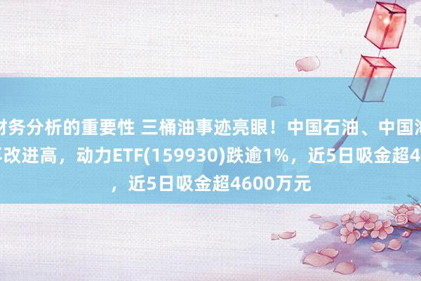 财务分析的重要性 三桶油事迹亮眼！中国石油、中国海油盈利再改进高，动力ETF(159930)跌逾1%，近5日吸金超4600万元