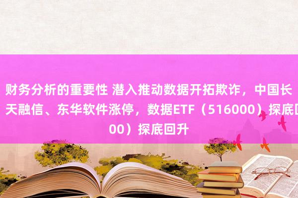 财务分析的重要性 潜入推动数据开拓欺诈，中国长城、天融信、东华软件涨停，数据ETF（516000）探底回升