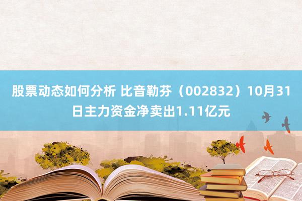 股票动态如何分析 比音勒芬（002832）10月31日主力资金净卖出1.11亿元