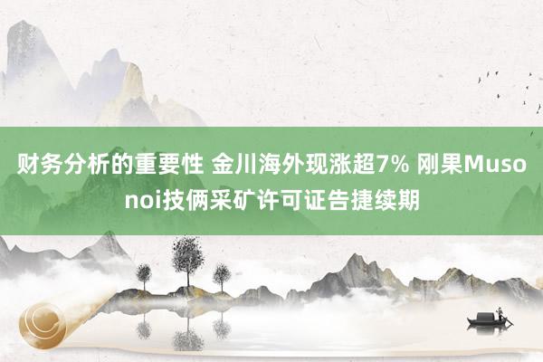 财务分析的重要性 金川海外现涨超7% 刚果Musonoi技俩采矿许可证告捷续期