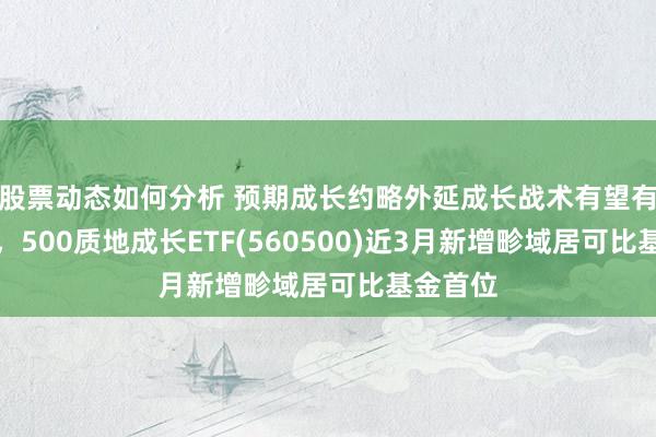 股票动态如何分析 预期成长约略外延成长战术有望有所发扬，500质地成长ETF(560500)近3月新增畛域居可比基金首位