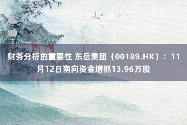 财务分析的重要性 东岳集团（00189.HK）：11月12日南向资金增抓13.96万股