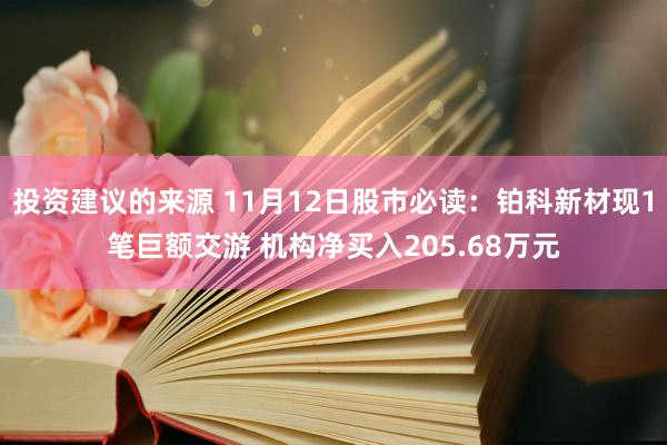 投资建议的来源 11月12日股市必读：铂科新材现1笔巨额交游 机构净买入205.68万元