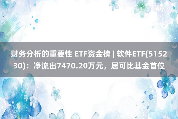 财务分析的重要性 ETF资金榜 | 软件ETF(515230)：净流出7470.20万元，居可比基金首位