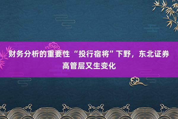 财务分析的重要性 “投行宿将”下野，东北证券高管层又生变化