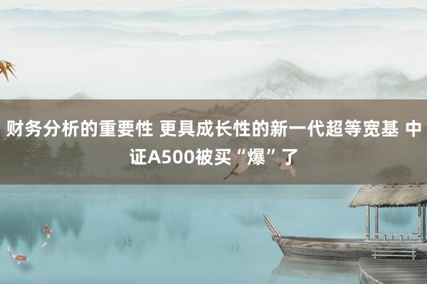 财务分析的重要性 更具成长性的新一代超等宽基 中证A500被买“爆”了