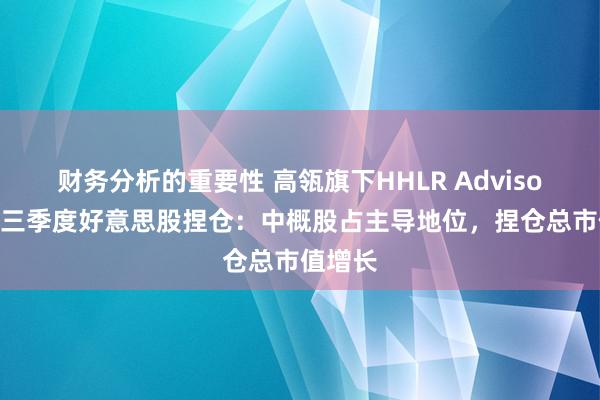 财务分析的重要性 高瓴旗下HHLR Advisors败露三季度好意思股捏仓：中概股占主导地位，捏仓总市值增长