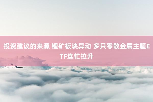 投资建议的来源 锂矿板块异动 多只零散金属主题ETF连忙拉升