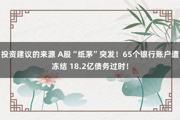 投资建议的来源 A股“纸茅”突发！65个银行账户遭冻结 18.2亿债务过时！