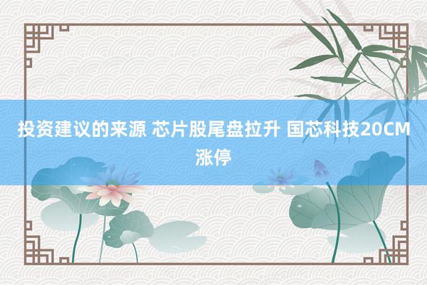 投资建议的来源 芯片股尾盘拉升 国芯科技20CM涨停