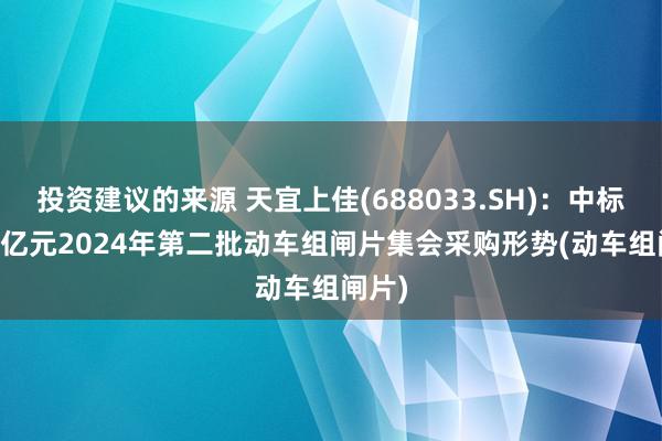 投资建议的来源 天宜上佳(688033.SH)：中标1.23亿元2024年第二批动车组闸片集会采购形势(动车组闸片)