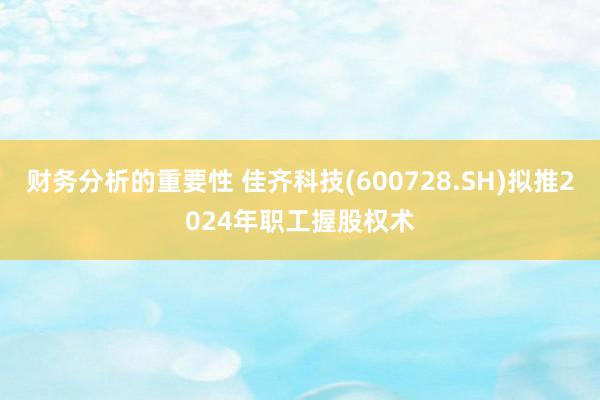 财务分析的重要性 佳齐科技(600728.SH)拟推2024年职工握股权术