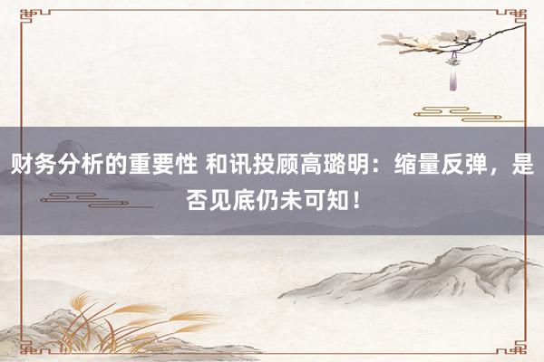 财务分析的重要性 和讯投顾高璐明：缩量反弹，是否见底仍未可知！