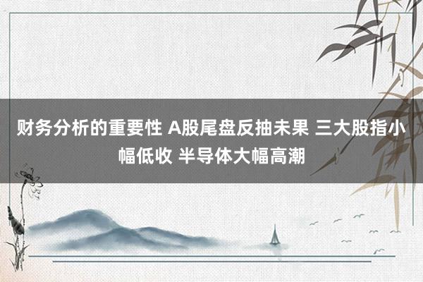 财务分析的重要性 A股尾盘反抽未果 三大股指小幅低收 半导体大幅高潮