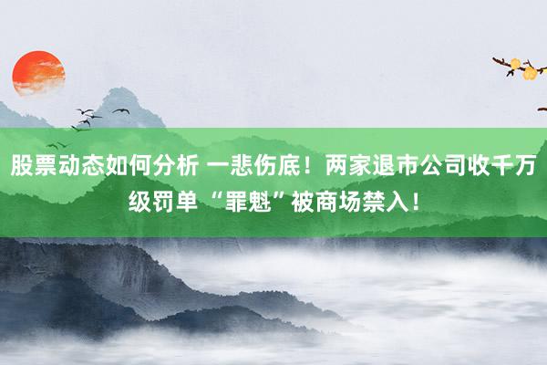 股票动态如何分析 一悲伤底！两家退市公司收千万级罚单 “罪魁”被商场禁入！