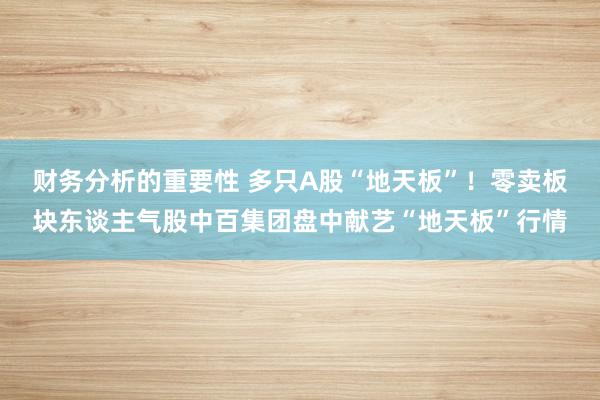 财务分析的重要性 多只A股“地天板”！零卖板块东谈主气股中百集团盘中献艺“地天板”行情