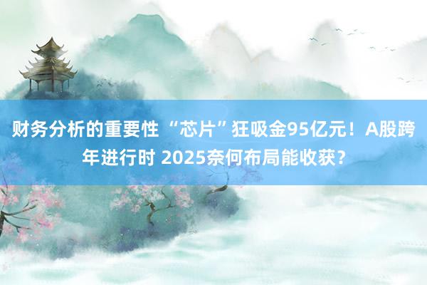 财务分析的重要性 “芯片”狂吸金95亿元！A股跨年进行时 2025奈何布局能收获？