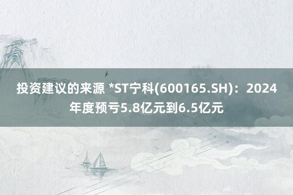 投资建议的来源 *ST宁科(600165.SH)：2024年度预亏5.8亿元到6.5亿元