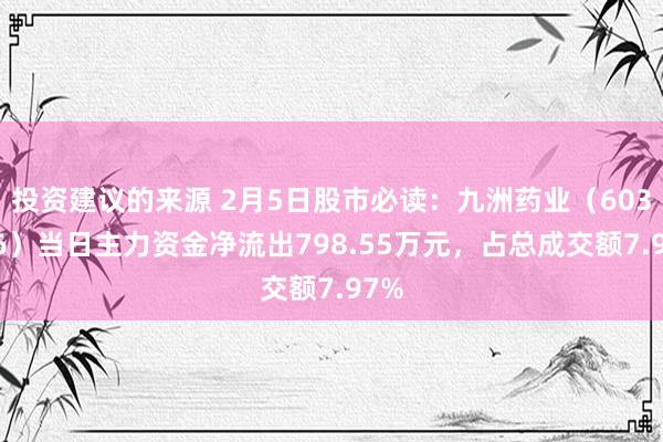 投资建议的来源 2月5日股市必读：九洲药业（603456）当日主力资金净流出798.55万元，占总成交额7.97%