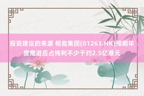 投资建议的来源 栢能集团(01263.HK)预期年度推进应占纯利不少于约2.5亿港元