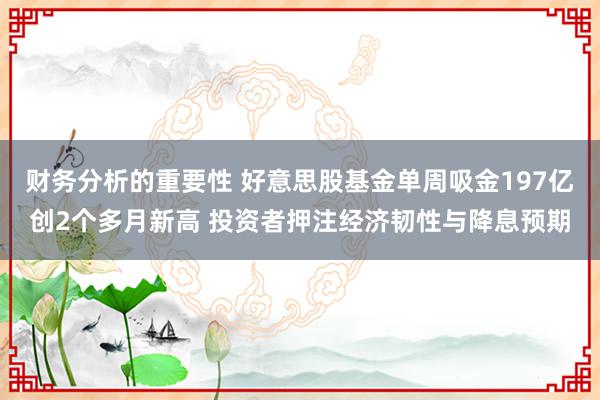 财务分析的重要性 好意思股基金单周吸金197亿创2个多月新高 投资者押注经济韧性与降息预期