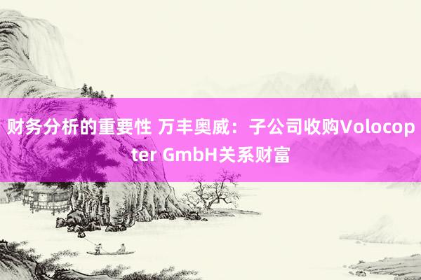 财务分析的重要性 万丰奥威：子公司收购Volocopter GmbH关系财富