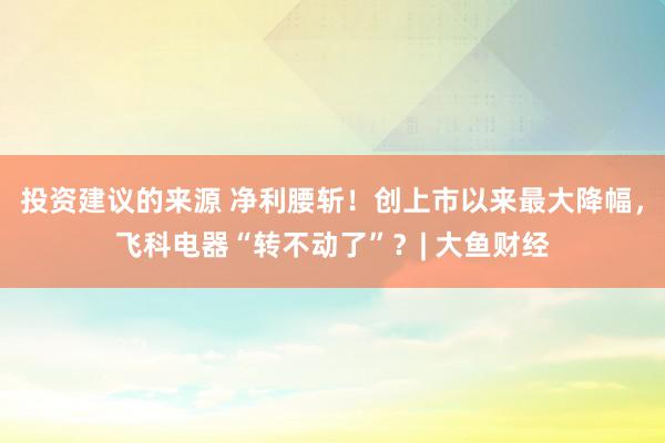 投资建议的来源 净利腰斩！创上市以来最大降幅，飞科电器“转不动了”？| 大鱼财经