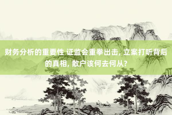 财务分析的重要性 证监会重拳出击, 立案打听背后的真相, 散户该何去何从?