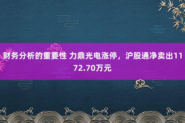 财务分析的重要性 力鼎光电涨停，沪股通净卖出1172.70万元