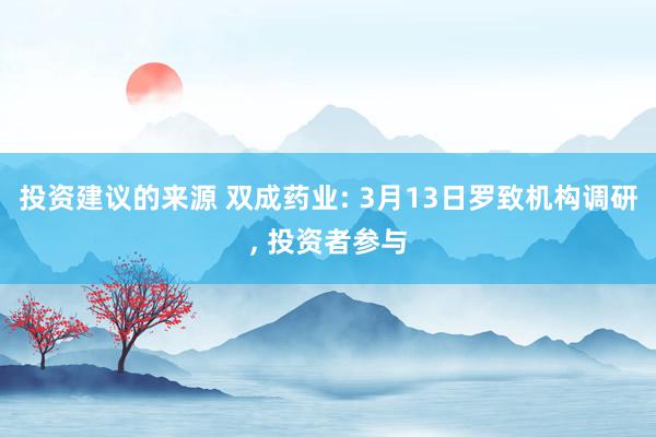 投资建议的来源 双成药业: 3月13日罗致机构调研, 投资者参与