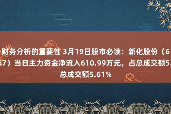 财务分析的重要性 3月19日股市必读：新化股份（603867）当日主力资金净流入610.99万元，占总成交额5.61%